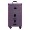 RibasuBB Rolling Makeup Case, Large Travel Makeup Case with Mirror - Rolling Cosmetics Case with Multiple Compartments and 360 Degree Wheels for Makeup Artist, Nail Tech, Hairstylist, Salon (Purple) view 1