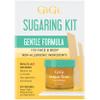 GiGi Sugar Bare Sugaring Kit - Gentle Formula, For Face and Body, with Non-Allergenic Ingredients, 1-pack view 1