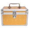 NOLITOY Makeup Train Case, Metal Pedicure Kit Storage Box, Portable Jewelry Organizer Cosmetic Storage Container with Lock for Cosmetologist Traveling Manicure Nail Art view 4