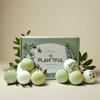 Plantful Organic Handmade Bath Bombs for Women, 12 Gift Sets, Large, Shea Butter Moisturizing, Essential Oils, Bubble Bath for Kids, Perfect Gifts for Women Men, Safe Bath Bombs for Kids view 1