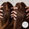 Luxy 100% Remy Human Hair  Scalp Hair Fill-Ins - Clip-Ins for Scalp & Part Line Coverage - Natural Coverage for Thinning Areas, Lightweight Mesh Bands 40 grams 16" Neutral Brown Scalp view 4