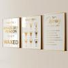 3 Pieces Waxing Aftercare Poster Bikini Waxing Prints Wall Art Brazilian Wax Hair Removal Treatment Canvas Painting Framed Artwork for Wax Salon Med Spa Decoration with Inner Frame view 1