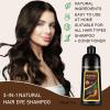 Natural Black Tea Hair Dye Shampoo 3-in-1, 100% Gray Hair Coverage in Minutes, Hair Instant Dye Shampoo for Women Men, Plant Based Hair Color Shampoo with Conditioner, Champu Con Tinte Para Canas view 2