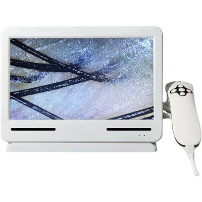 LZDOYY 10.1inch Hair Follicle Skin Analyser Machine, multifunctional Skin scalp tester, digital hair analyzer, Skin Scalp Detector