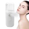 Portable Nano Facial Mister - Handy Cool Mist Sprayer | 30ml Visual Water Tank Facial Sprayer | Moisturizing Atomization Nano Mister | Handy Mist Sprayer | Rechargeable Cool Mist Facial Steamer view 1