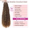 Goddess Bohemian Box Braids Crochet Hair 7 Packs 24 Inch Boho Crochet Braids for Black Women Pre Looped Braiding Hair with Curly Ends, M33/30/27 view 2