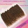 Goddess Bohemian Box Braids Crochet Hair 7 Packs 24 Inch Boho Crochet Braids for Black Women Pre Looped Braiding Hair with Curly Ends, M33/30/27 view 4