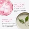 WELEDA Smoothing Night Cream view 4