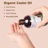 2 Pcs Certified Organic Castor Oil, Natural Oil Cold Pressed in Glass Bottle, Massage Oil, Pure for Hair Growth Eyelashes Eyebrows Lash Serum - Hexane Free, 8 oz Per Bottle view 2