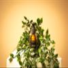 VERDE Green Tea Cleanser view 3