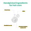 Anveya Rosemary Mint Hair Oil | Hair Oils for Hair Growth & Dandruff Control | Rosemary Oil for Hair Growth & Hair Care | Smoothens Dry Scalp, Reduces Hair Fall & Split Ends | for Men & Women | 50ml view 4