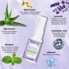 Hair Inhibitor for Face, Permanent Hair Growth Inhibitor Non-Irritating Stop Hair Growth for Body, Bikini, Arm, Armpit, Leg, Slows Hair Regrowth Lavender Flavor view 3