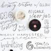 Ellovi All-Natural Luxuriously Whipped Body Butter - Pink Lotus - Pure Enough to Eat - Made With Just 6 Vegan Ingredients - Ultra-Rich 100% Plant-Based Moisturizer For Naturally Healthy Skin (2oz) view 3