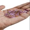 Beaditwearitloveit Small Purple & 24kt Gold Plated Metal Loc Sprinkle Beads Mix, Braid Jewelry Dreadlock Accessories, 8/0 Dread Sprinkle Beads, Loc Jewelry (Sprinkles) view 1