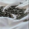 Beaditwearitloveit Small Sterling Silver Plated Loc Sprinkle Beads Mix, Braid Jewelry Dreadlock Accessories, Size 8/0 Dread Sprinkle Beads, Loc Jewelry (Sprinkles) view 3