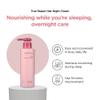 AMOS PROFESSIONAL True Repair Hair Night Cream l Overnight Hair Leave-in Conditioner, Hydrating & Deep Conditioning for Dry and Damaged Hair, 6.0 fl. oz. view 3