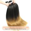 Two Tone Braiding Hair Pre Stretched,26 Inch 8 Pack Prestretched Braiding Hair For Braid Women Hair,Professional Ombre Synthetic Hair For Knotless Crochet Braids,Soft Yaki Straight(26in,8pc,T27) view 4