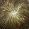 Hair Wonders Swiss Lace Toupee For Men Hair Pieces Real Human Hair Mens Toupee Hair Replacement System For Men Hair System Natural Hairline 8x10-90% light density18# MEDIUM BLONDE view 4