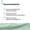 AMOS PROFESSIONAL The Green Tea Moisturizing Pack, Hair & Scalp Treatment for Thinning Hair, Korean Hair Mask, Strengthening Hair, All Hair Types, 8.4 fl. oz. view 4
