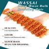 20 Inch Orange Deep Wave Bulk Hair for Braiding 2 Bundles 200G Curly Braiding Hair for Boho Braids Curls 100g/Bundles Micro Twist No Weft Wet and Wavy Bohemian Braiding Hair Extensions view 2