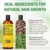 Seven Minerals Cold Pressed Castor Oil with Rosemary - 16 fl oz Bottle - Unrefined & Hexane Free - Hair Growth, Thicker Eyelashes & Eyebrows, Dry Skin Care, Joint and Muscle Pain (Pack of 1) view 2