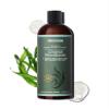 Aleavia Coastal Woodlands Mens Body Cleanse  Organic & All-Natural Prebiotic Body Wash for Men, Woodsy Notes Scented with 13 Essential Oils,  Nourish Your Skin Microbiome  16 Oz. view 1