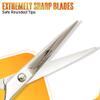 BEAUT DCHANE Professional Barber Shears - 6.5 Inch Premium Haircutting Scissors Stainless Steel Hairdressing Scissors for Men & Women (Silver) view 2