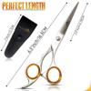 BEAUT DCHANE Professional Barber Shears - 6.5 Inch Premium Haircutting Scissors Stainless Steel Hairdressing Scissors for Men & Women (Silver) view 3