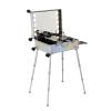 KJLYLPP Rolling Makeup Train Case with Lighted Mirror, Make Up Cosmetic Orgainzer Box Travel Case, Professional Aluminum Trolley Salon Staion (Dazzling Stripes) view 1