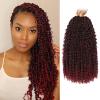 Molleas Passion Twist Hair 14inch,9pack Boho Passion Twist Crochet Hair,Pre Looped With Curly Ends for Bohemian Water Wave Braiding Hair(Tbug) view 1