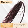 Molleas Passion Twist Hair 14inch,9pack Boho Passion Twist Crochet Hair,Pre Looped With Curly Ends for Bohemian Water Wave Braiding Hair(Tbug) view 3