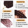 Molleas Passion Twist Hair 14inch,9pack Boho Passion Twist Crochet Hair,Pre Looped With Curly Ends for Bohemian Water Wave Braiding Hair(Tbug) view 4