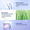 CHANDO HIMALAYA 2-Step Oil-Control Ampoule Facial Mask (1.5ml+33mlx5 PCS) view 3