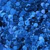 Penta Angel Chunky Glitter 50g/1.76oz Metallic Glitter Powder Craft Sequins Flakes for Resin Art Nail Makeup Face Body Festival Decoration (Royal Blue) view 1