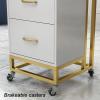 Multi-level Storage Rolling Carts Layered Storage Hairdressing Trolleys Esthetician Salon/hair Salon Tool Cart Hair Dryer Storage Rack with 2 Drawers and Raised Guard Rails Non-slip Silent Universal W view 3