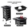 Salon Trolley Salon Tray Trolley Cart Hairstylist Manicure Storage Drawer Trays Hairstylist Instrument Tray for Hair Styling for Salons Spas view 4