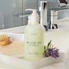 Alice + Co. Skin Care Bundle - Body Wash & Body Lotion - Lavender & Eucalyptus - 1 of Each view 2