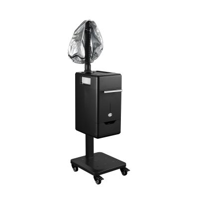 DERMALOGIC Hair Steam Mist Hand Hair Steamer Warm Mist Moisturizing with Timer Salon Spa Equipment, Black