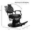 DERMALOGIC Hair Steam Mist Hand Hair Steamer Warm Mist Moisturizing with Timer Salon Spa Equipment, Black view 3