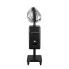 DERMALOGIC Hair Steam Mist Hand Hair Steamer Warm Mist Moisturizing with Timer Salon Spa Equipment, Black view 4