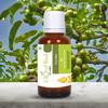 Cloud Bud Pure Shea Oil 30ml 1.01oz Vitellaria Paradoxa 100% Pure and Natural Cold Pressed view 2