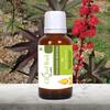 Cloud Bud Pure Jamaican Black Castor Oil 30ml 1.01oz Ricinus Communis 100% Pure and Natural Cold Pressed view 2