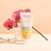 Solara Suncare - Clean Freak Nutrient Boosted Sunscreen, SPF 30 (Sport) | EWG Verified, Vegan, Cruelty Free, Reef friendly | Unscented, Zinc Oxide Broad Spectrum, Water Resistant (3 fl oz | 90 ml) view 2
