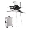 FJYAWEN Rolling Makeup Case Large Storage Makeup Trolley, Makeup Case with Lighted Mirror, Speaker Travel Makeup Organizer, Professional Artist Trolley Studio Freestanding Case,Silver view 2