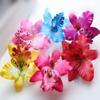 10 Pack Flower Brooch Head Ornament Bride Beach Style Women Plumeria Flower Hair Accessories Wedding Hair Clip Flamenco Dancer (Rose red) view 2