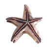 Funny Big Starfish Hair Clip,Acetate Hair Clip,Big Claw Clip for Women,Brown, 1 Count (Pack of 1) view 1