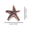 Funny Big Starfish Hair Clip,Acetate Hair Clip,Big Claw Clip for Women,Brown, 1 Count (Pack of 1) view 2