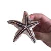 Funny Big Starfish Hair Clip,Acetate Hair Clip,Big Claw Clip for Women,Brown, 1 Count (Pack of 1) view 3