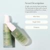 Rahua Aloe Vera Hair Mousse, Lightweight Volumizing Vegan Styling Foam for All Hair Types, Adds Texture, Lift & Shine, Alcohol Free Flexible Hold with Sugarcane & Guayusa Antioxidants, 5.5 Fl Oz view 4