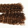 RHEANNA Curly Bulk Human Hair For Braiding Braiding Hair Extensions Highlighted 4/30 Bulk Human Hair For Boho Braids Double Drawn 300g 16inch view 4
